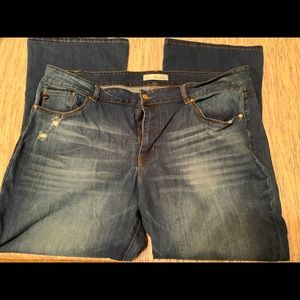 KanCan bootcut jeans